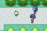 Ptdcelebi