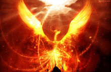 Moltres banner