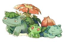 Venusaur banner