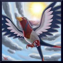 Swellow banner
