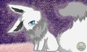 Images (23)
