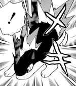 Exbo Quilava.png