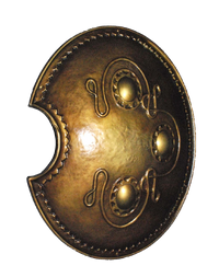 Shield