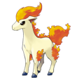 Ponyta