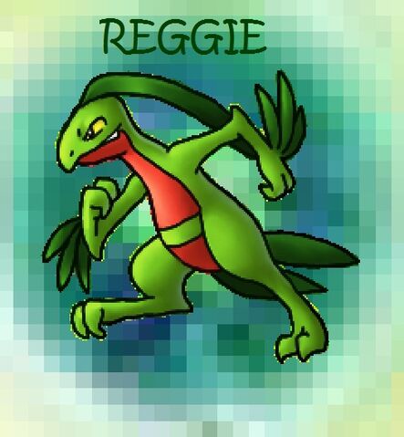 File:Reggie.jpg