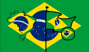 Brazil card
