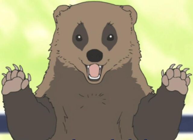File:Badger.jpg