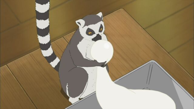 File:HorribleSubs-Polar-Bear-Cafe---32-72-68-.jpg