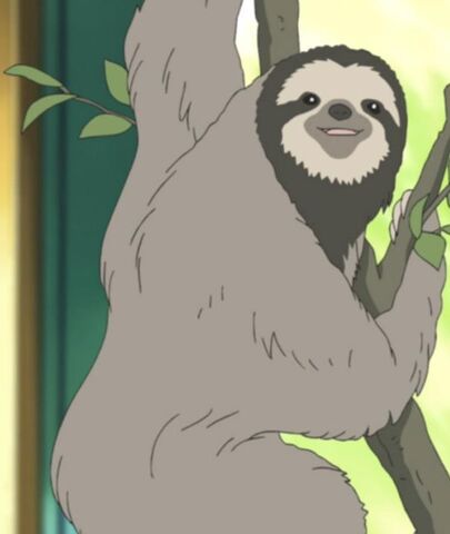 File:Sloth.jpg