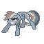 D dash