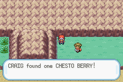 File:Hidden Item.png