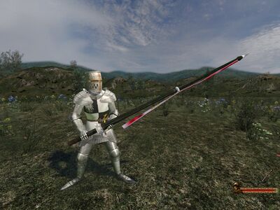 Sarleon Banner
