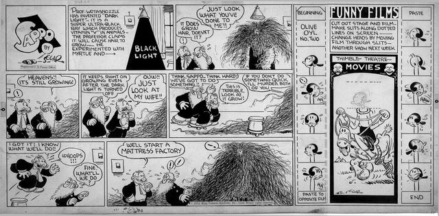 File:Sappo Hair Growth Incident.jpg