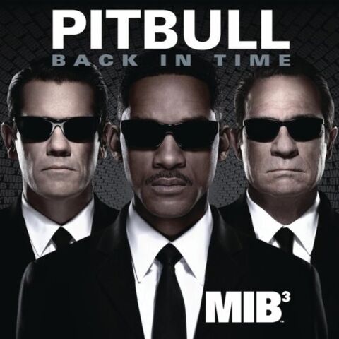 Datei:Pitbull - Back in Time.jpg