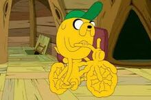 Jake-0.jpg