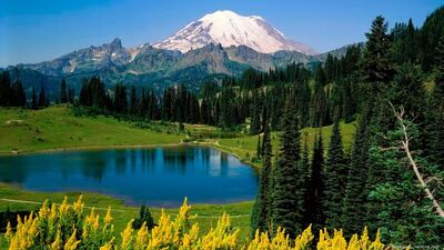 Mountains