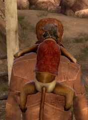 P3 monkey