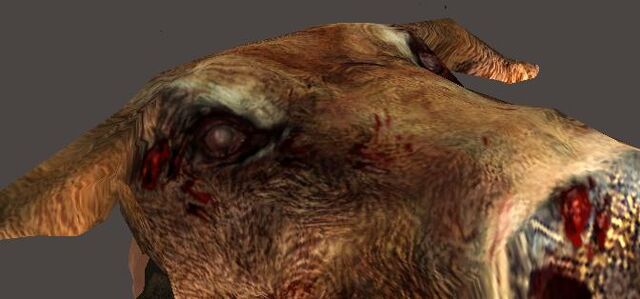 File:Doghead.jpg