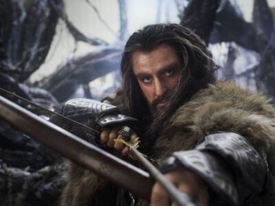 Thorin collarcitybrownstone-450x337