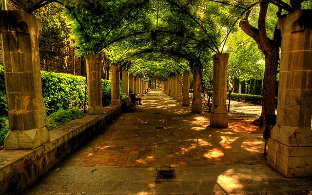 File:Beautiful-alley-bench-nature-spain.jpg
