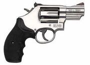 Gun