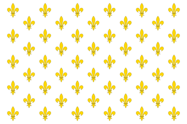 File:800px-Pavillon royal de France.svg.png