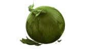 Gurdy-root