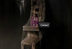 Candle