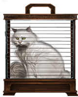 White-cat-lrg