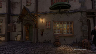 Eeylops Owl Emporium 1