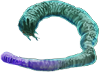 MurtlapTenticle