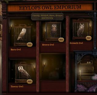 EeylopsOwls