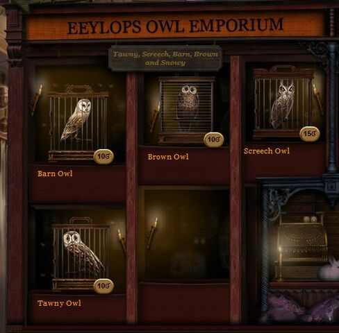 File:EeylopsOwls.jpg