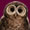 File:Brown-owl 5.jpg