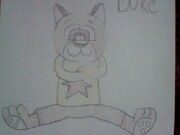 Duke