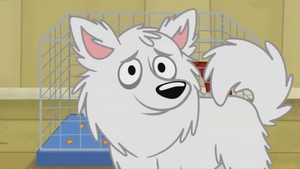 Buddy