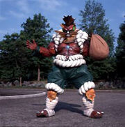 Ginga-vi-budou19