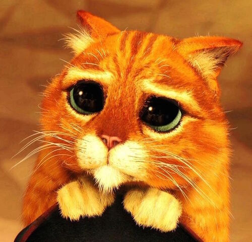 File:Puss-in-boots-shrek-4971261.jpg