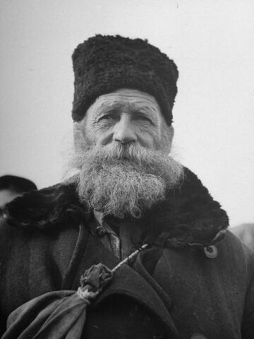 File:Portrait-shot-of-old-man-in-face-bearded-wrinkled-full-of-character.jpg