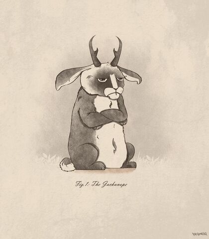 File:Jackanope.jpg