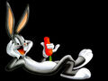 Thumbnail for version as of 08:59, December 11, 2012