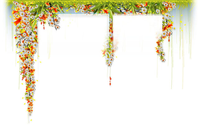 File:Hippieback.jpg