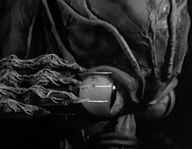 File:Saucer man.jpg