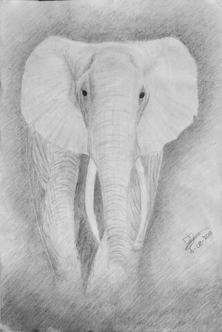 File:Elephant ghost by deandemaro-d47ccy2.jpg