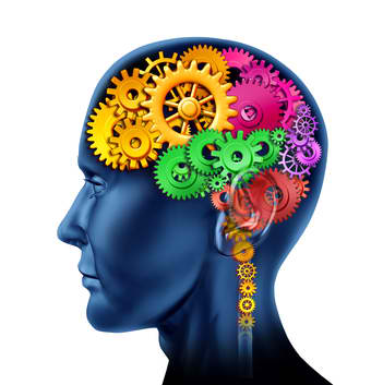 Image result for image intelligence