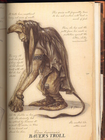 File:Bauer's Troll.jpg