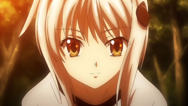 File:Koneko.jpg