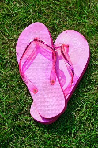 File:Flops.jpg