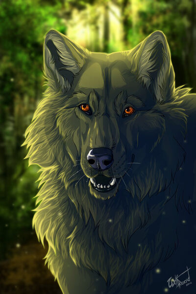 Wolfser