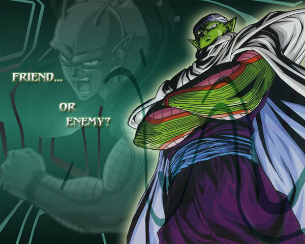 File:Piccolo.jpg